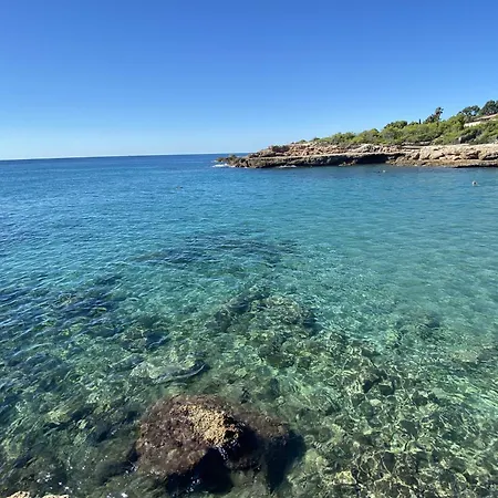 Preciosa L'Ametlla de Mar
